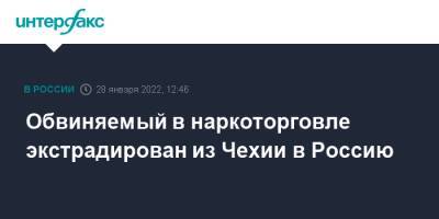 Ирина Волк - Обвиняемый в наркоторговле экстрадирован из Чехии в Россию - interfax.ru - Москва - Россия - Московская обл. - Владимирская обл. - Чехия