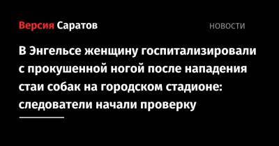 В Энгельсе женщину госпитализировали с прокушенной ногой после нападения стаи собак на городском стадионе: следователи начали проверку - nversia.ru - Саратовская обл. - Саратов - Энгельс