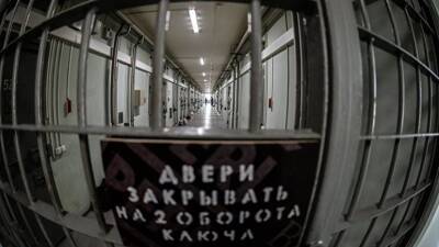 Члены ОНК посетили в СИЗО американца, задержанного в аэропорту Шереметьево с пистолетом - russian.rt.com - Москва - США - Армения