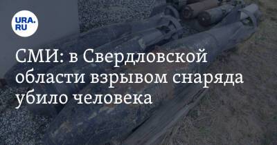 Александр Шульга - СМИ: в Свердловской области взрывом снаряда убило человека - ura.news - Россия - Свердловская обл.