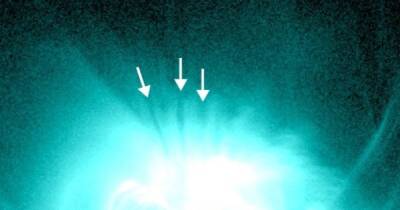 Гигантские пальцы на Солнце. Спустя 20 лет ученые смогли объяснить загадочное явление на звезде - focus.ua - Украина