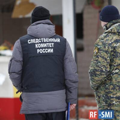 СК возбудил дело о халатности чиновников после пропажи девочки под Новгородом - rf-smi.ru - Россия - Новгородская обл. - район Холмский - Холм