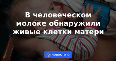 В человеческом молоке обнаружили живые клетки матери - news.mail.ru