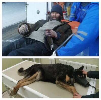 Выжившие. Ульяновцы спасают искалеченного пса и его хозяина - ulpravda.ru - район Заволжский