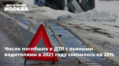 Число погибших в ДТП с пьяными водителями в 2021 году снизилось на 20% - vm.ru - Москва