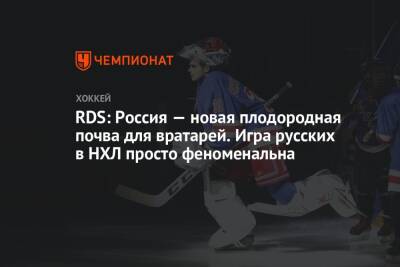 Сергей Бобровский - Андрей Василевский - Илья Сорокин - Игорь Шестеркин - RDS: Россия — новая плодородная почва для вратарей. Игра русских в НХЛ просто феноменальна - championat.com - Россия