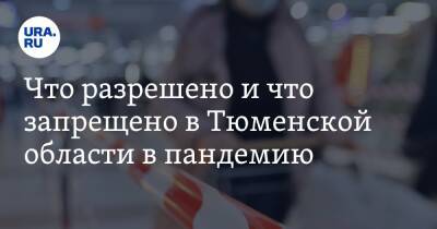 Александр Моор - Что разрешено и что запрещено в Тюменской области в пандемию - ura.news - Россия - Тюменская обл.