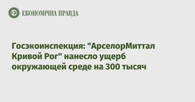 Госэкоинспекция: "АрселорМиттал Кривой Рог" нанесло ущерб окружающей среде на 300 тысяч - epravda.com.ua - Украина - Киев - Кривой Рог - Экология