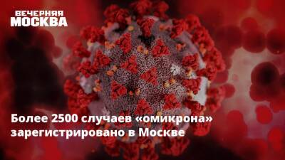 Александр Гинцбург - Более 2500 случаев «омикрона» зарегистрировано в Москве - vm.ru - Москва - Россия - Египет - Турция - Эмираты - Доминиканская Республика - Москва