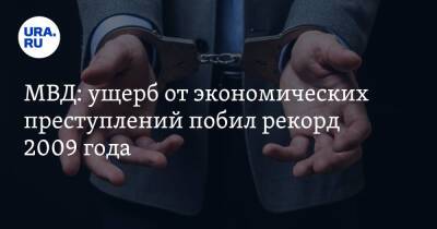 МВД: ущерб от экономических преступлений побил рекорд 2009 года - ura.news - Россия