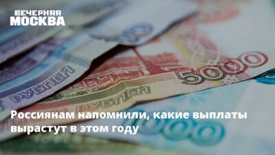 Лариса Сорокина - Россиянам напомнили, какие выплаты вырастут в этом году - vm.ru - Россия
