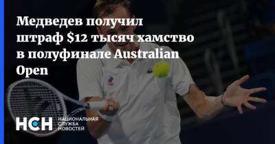 Даниил Медведев - Бен Ротенберг - Медведев получил штраф $12 тысяч хамство в полуфинале Australian Open - nsn.fm - Россия - Австралия