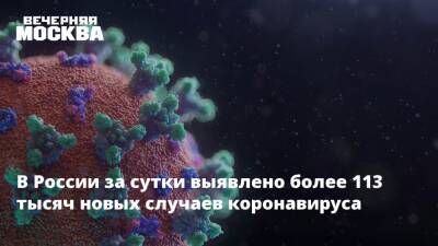 Евгений Брюн - В России за сутки выявлено более 113 тысяч новых случаев коронавируса - vm.ru - Москва - Россия
