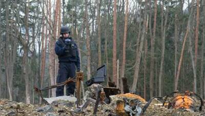 СМИ: в Чехии заподозрили бывшего российского военного в причастности к ЧП во Врбетице - govoritmoskva.ru - Россия - Чехия - Прага