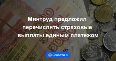 Минтруд предложил перечислять страховые выплаты единым платежом - news.mail.ru - Россия