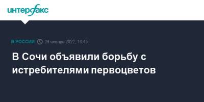 В Сочи объявили борьбу с истребителями первоцветов - interfax.ru - Москва - Россия - Сочи - Краснодарский край - Сочи