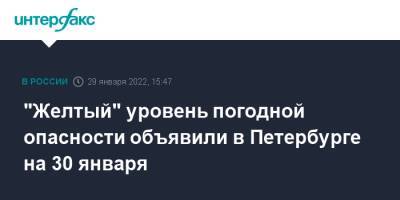 "Желтый" уровень погодной опасности объявили в Петербурге на 30 января - interfax.ru - Москва - Россия - Санкт-Петербург - Петербург