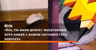 «Все, ты меня довел»: напугавший кота хомяк с ножом заставил Сеть хохотать - ridus.ru