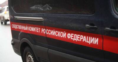 Ольга Врадий - СК завел дело после смертельного отравления трех человек в Подмосковье - ren.tv - Россия - Московская обл. - Московская область
