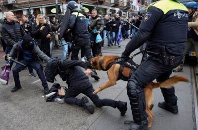 COVID-протест в Амстердаме: полицейские спустили собак - unn.com.ua - Украина - Киев - Амстердам - Амстердам - Протесты
