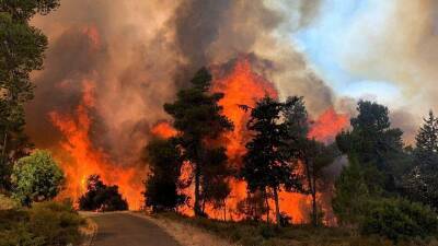 Власти Колорадо продолжают подсчитывать ущерб от природного пожара - trend.az - США - шт. Колорадо - USA
