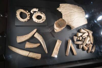 Археологи раскопали более 100 тысяч артефактов на древнейшей стоянке Сибири - actualnews.org - Мальта - Усолье-Сибирское