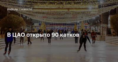В ЦАО открыто 90 катков - mos.ru - Москва