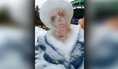 Зомби-снегурочку обнаружили жители села в Башкирии - mkset.ru - Башкирия - район Зианчуринский