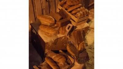 На улице Карпинского килограммы хлеба оказались на помойке - penzainform.ru