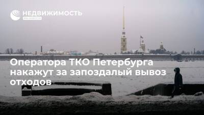 Оператора ТКО Петербурга накажут за запоздалый вывоз отходов - realty.ria.ru - Москва - Санкт-Петербург - Санкт-Петербург