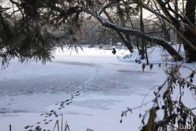 Десять рыбаков провалились под лед в Зельвенском районе - grodnonews.by - Белоруссия - район Зельвенский