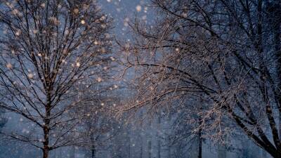 Вирджиния - Зимний шторм принес сильные снегопады на юго-восток США и в среднеатлантические штаты - golos-ameriki.ru - США - Вашингтон - шт. Джорджия - Филадельфия