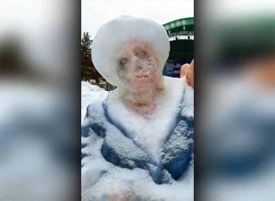 Снегурочка-зомби шокировала жителей Башкирии - bloknot.ru - Башкирия - район Зианчуринский - р. Башкирия