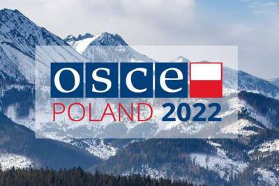 Марцин Пшидач - Польша обещает заняться проблемами Украины во время председательства в ОБСЕ - lenta.ua - Россия - США - Украина - Крым - Польша