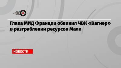 Жан-Ив Ле-Дриан - Глава МИД Франции обвинил ЧВК «Вагнер» в разграблении ресурсов Мали - echo.msk.ru - Россия - Франция - Мали