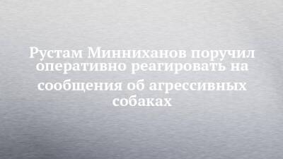 Рустам Минниханов - Рустам Минниханов поручил оперативно реагировать на сообщения об агрессивных собаках - chelny-izvest.ru - Россия - респ. Татарстан - Забайкальский край