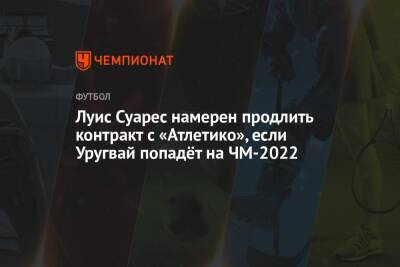 Луис Суарес - Диего Симеон - Луис Суарес намерен продлить контракт с «Атлетико», если Уругвай попадёт на ЧМ-2022 - championat.com - Испания - Мадрид - Катар - Уругвай