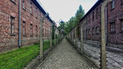 Глава отдела образования Польши хочет запретить еврейский центр Освенцим и мира - cursorinfo.co.il - Израиль - Польша - Варшава