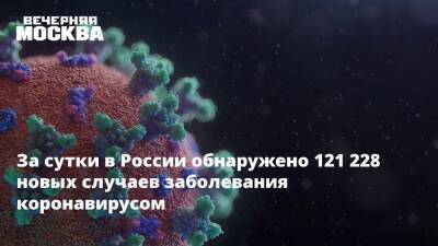 Татьяна Голикова - За сутки в России обнаружено 121 228 новых случаев заболевания коронавирусом - vm.ru - Москва - Россия - Санкт-Петербург - Севастополь - Мурманская обл. - Чукотка - республика Карелия