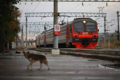 На железнодорожном вокзале Астрахани провели дезинфекцию - volg.mk.ru - Волгоград - Астрахань - Астраханская обл. - Волгоградская обл.