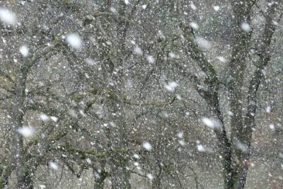 Снегопады в Карелии сохранятся в ночь на понедельник - karel.mk.ru - район Сортавальский - республика Карелия