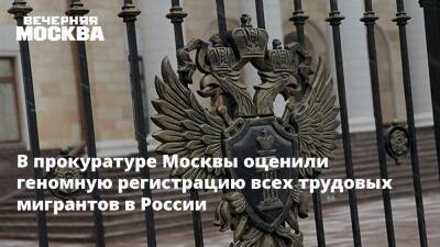 Александр Бастрыкин - Денис Попов - В прокуратуре Москвы оценили геномную регистрацию всех трудовых мигрантов в России - vm.ru - Москва - Россия