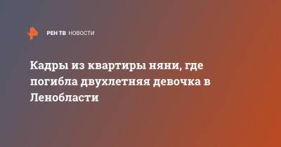 Кадры из квартиры няни, где погибла двухлетняя девочка в Ленобласти - ren.tv - Ленинградская обл. - Мурино