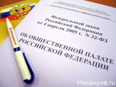 Общественная палата РФ раскритиковала внесудебную блокировку сайтов - nakanune.ru - Россия