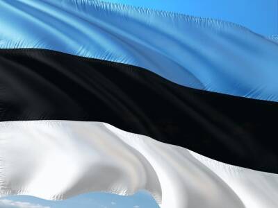 Кая Каллас - Эстония призвала Германию отправить Украине оружие - rosbalt.ru - Россия - Украина - Германия - Эстония