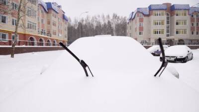 Ян Хайцеэр - Гранитный камушек внутри: что нужно иметь в багажнике зимой - vesti.ru