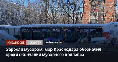 Андрей Алексеенко - Мэр приказал расчистить Краснодар от мусора до конца дня - kubnews.ru - Краснодар - Краснодар