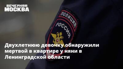 Двухлетнюю девочку обнаружили мертвой в квартире у няни в Ленинградской области - vm.ru - Ленинградская обл. - Узбекистан - Киргизия - Мурино - Новгородская обл. - Холм