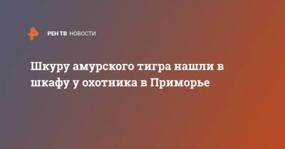 Шкуру амурского тигра нашли в шкафу у охотника в Приморье - ren.tv - Приморье край