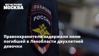 Правоохранители задержали няню погибшей в Ленобласти двухлетней девочки - vm.ru - Ленинградская обл. - Узбекистан - Киргизия - Мурино